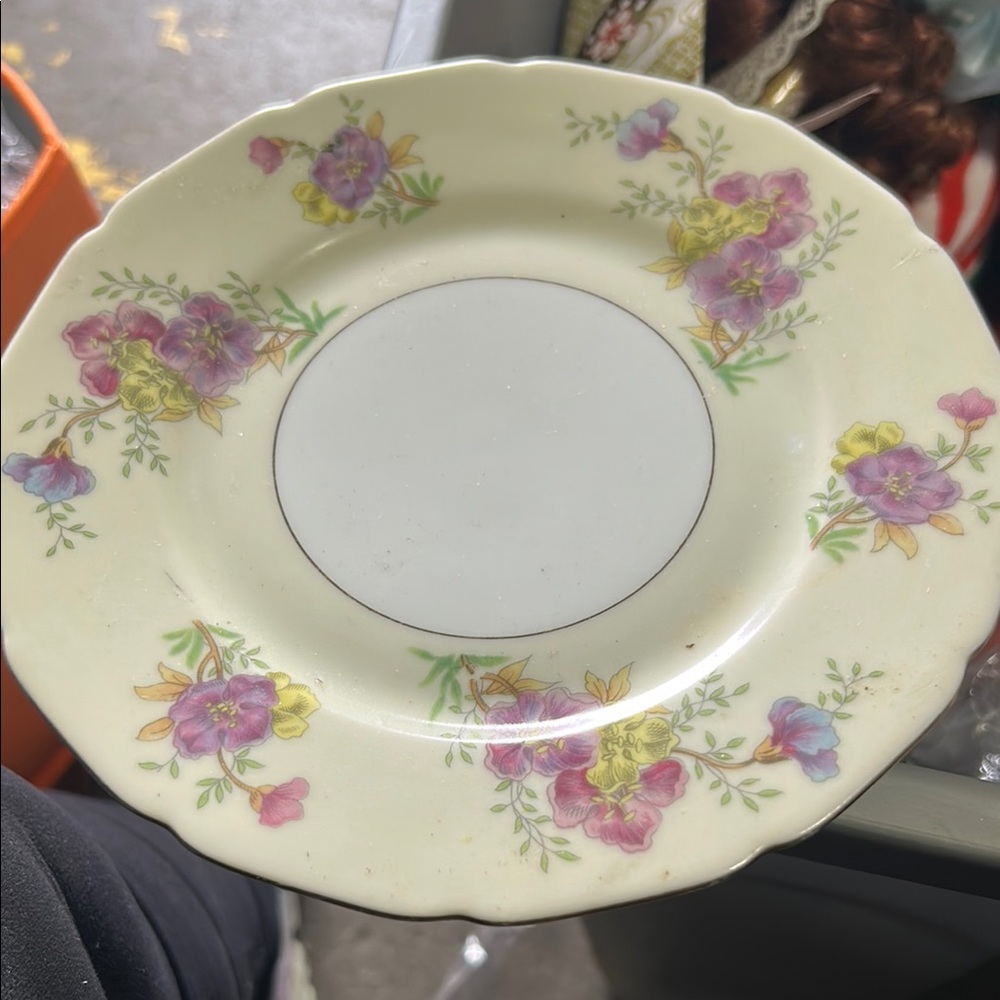 RARE - Rambler Rose by Black Knight - Dinner Plate 10" Great Condition